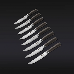 Steak Knife & Bistecca Plate Set, 16-pc (Espresso)